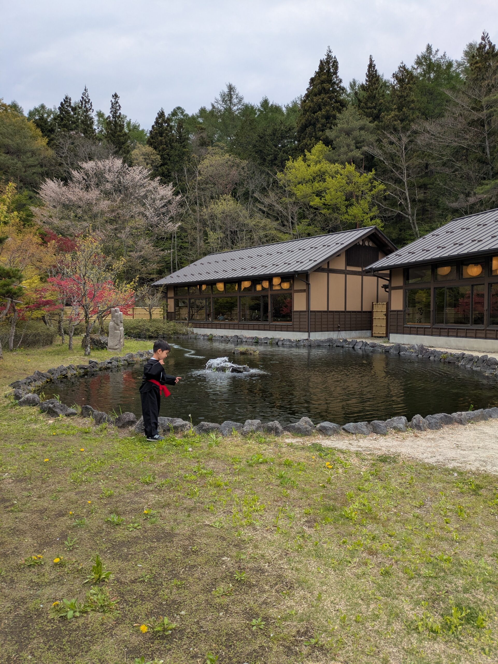 忍野しのびの里の日本庭園を歩く子ども