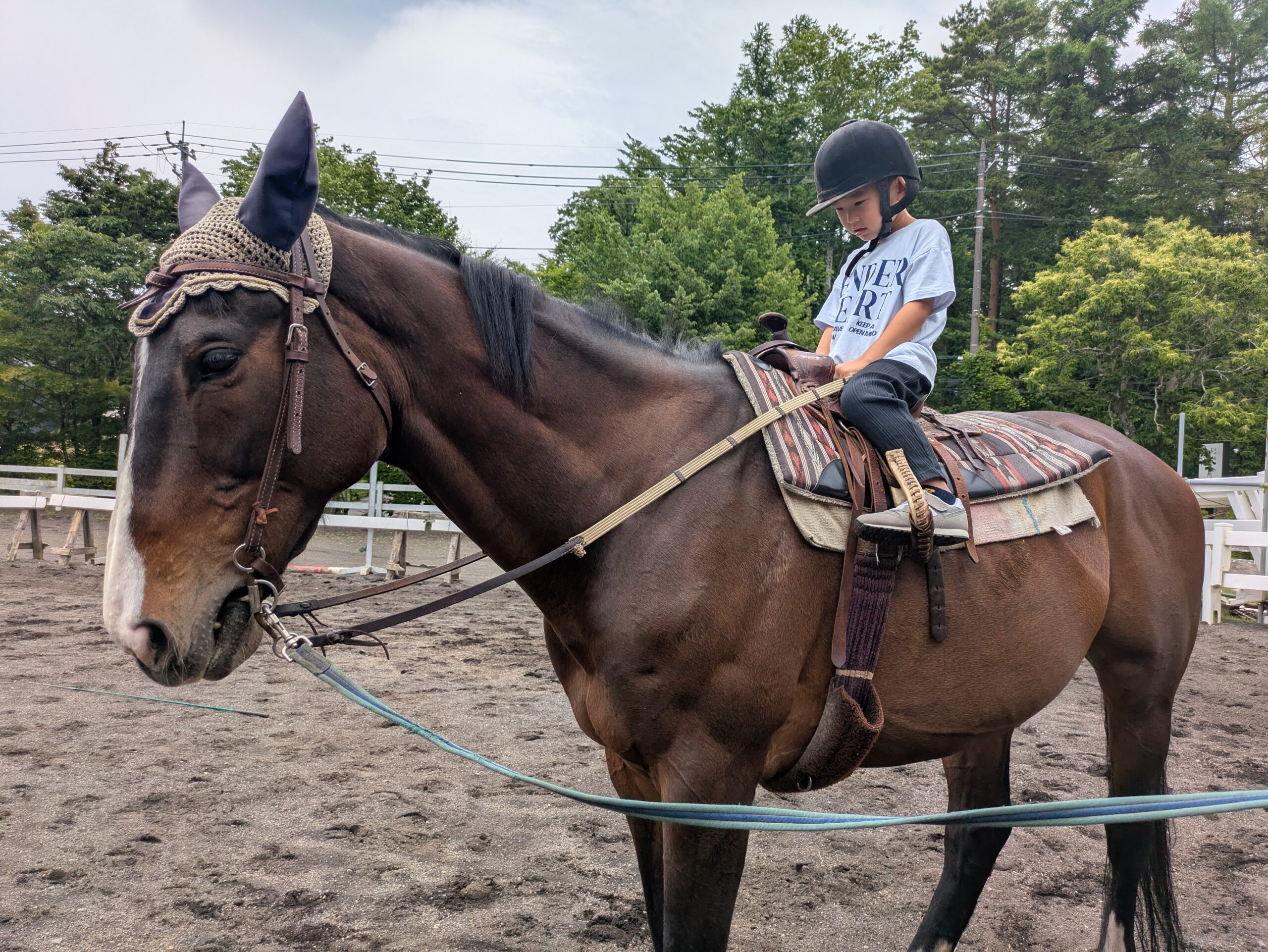 山中湖乗馬クラブ馬車道での乗馬レッスン